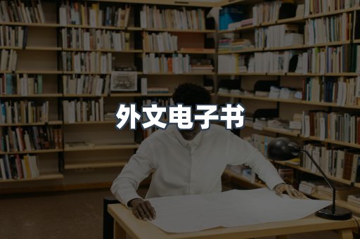 外文电子书